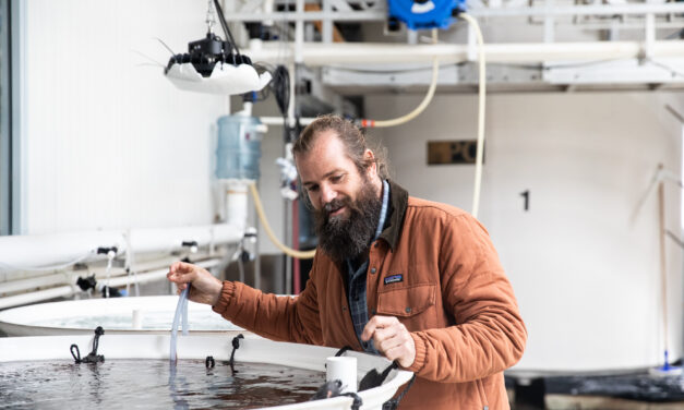 Methane-busting seaweed scales-up