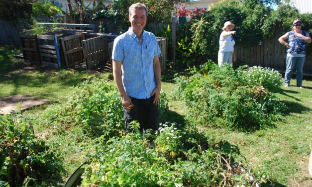 Tasting the future in edible gardens