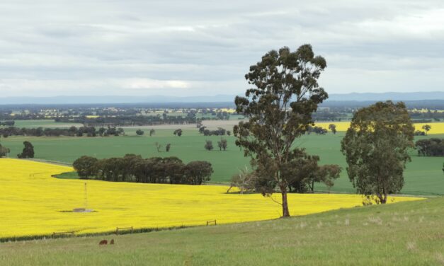 Farmland cost more than doubles