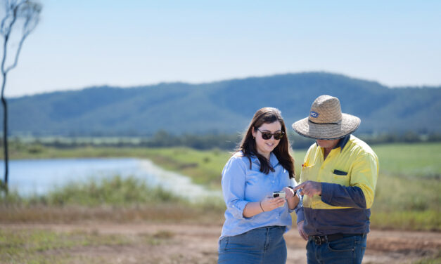 What’s new? Tool to navigate the carbon ‘confusopoly’