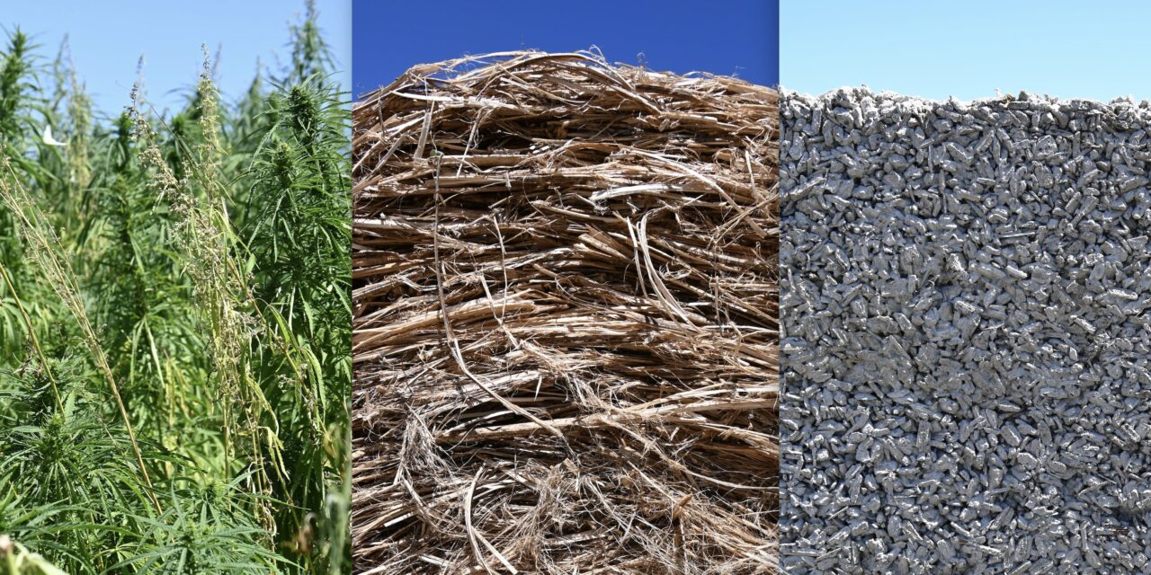 Hemp industry red tape cut