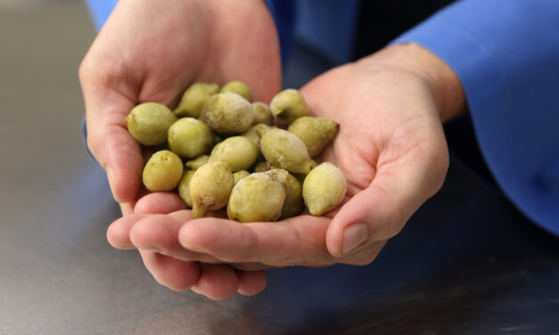 Science backs Kakadu plum health benefits