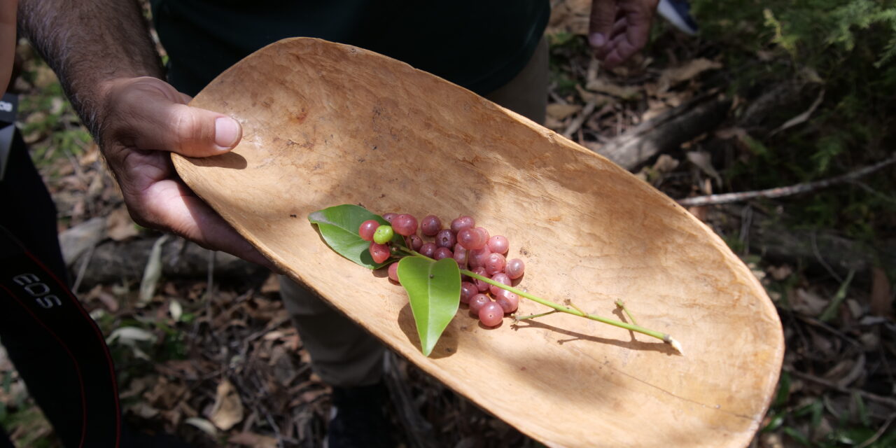 A fruitful partnership to boost bush food