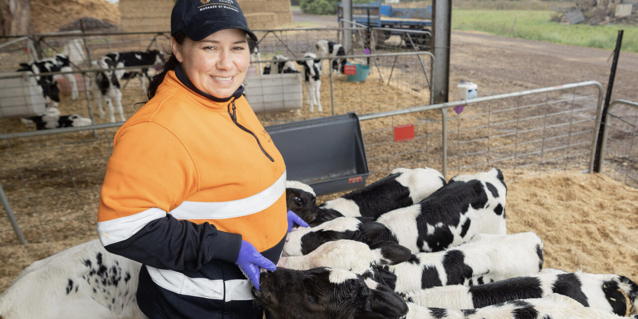 ‘Holy cow!’: adult learner reinvigorates career