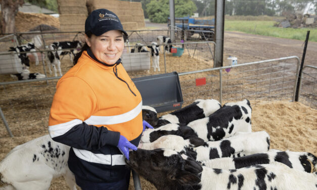 ‘Holy cow!’: adult learner reinvigorates career