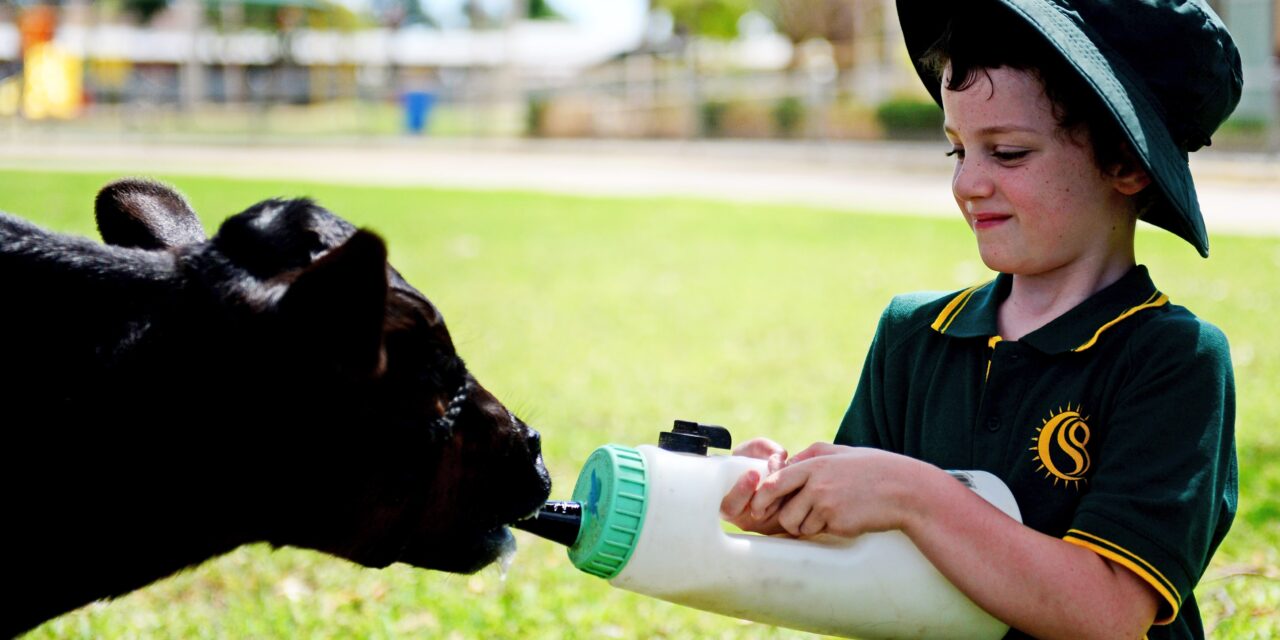 Connecting kids to agriculture