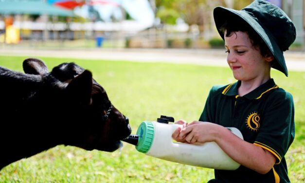 Connecting kids to agriculture